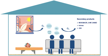 Graphical abstract: Real-time measurements of product compounds formed through the reaction of ozone with breath exhaled VOCs