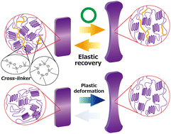 Graphical abstract: Mechanical properties and structures under the deformation of thiophene copolymers with cyclic siloxane units