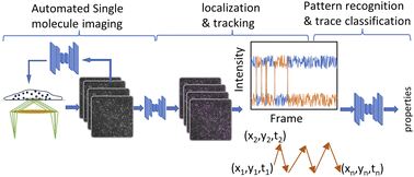 Graphical abstract: Deep learning in single-molecule imaging and analysis: recent advances and prospects