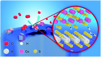 Graphical abstract: Heterostructuring cobalt sulfide with highly oxophilic 1T-tungsten sulfide for durable and efficient oxygen electrocatalysis