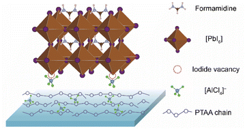 Graphical abstract: Efficient and scalable perovskite solar cells achieved by buried interface engineering