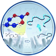 Graphical abstract: Introducing SuFEx click chemistry into aliphatic polycarbonates: a novel toolbox/platform for post-modification as biomaterials