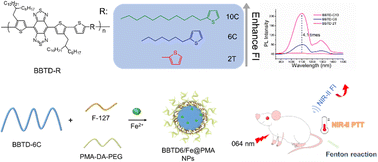 Graphical abstract: Conjugated/nonconjugated alternating copolymers for enhanced NIR-II fluorescence imaging and NIR-II photothermal-ferrotherapy