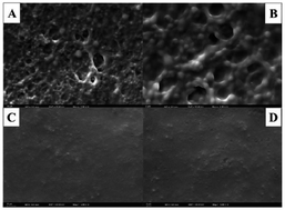 Graphical abstract: A novel electrochemical sensor based on a molecularly imprinted polymer for highly selective and sensitive determination of rutin from herbal supplements and plant extracts