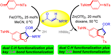 Graphical abstract: Annulation of enaminones with quinonediimides/quinoneimides for selective synthesis of indoles and 2-aminobenzofurans