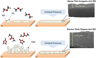 Graphical abstract: Quantitative analysis of sodium metal deposition and interphase in Na metal batteries