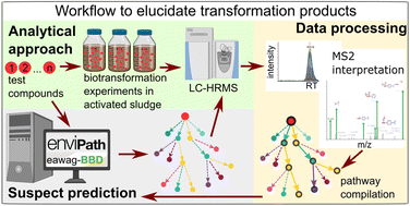 Graphical abstract: Combining predictive and analytical methods to elucidate pharmaceutical biotransformation in activated sludge