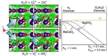 Graphical abstract: Incorporation of protons and hydroxide species in BaZrO3 and BaCeO3