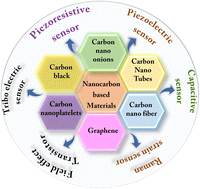 Graphical abstract: Nanocarbon-based sensors for the structural health monitoring of smart biocomposites