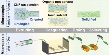 Graphical abstract: Engineering strong man-made cellulosic fibers: a review of the wet spinning process based on cellulose nanofibrils