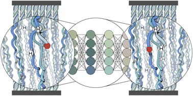 Graphical abstract: Substituting density functional theory in reaction barrier calculations for hydrogen atom transfer in proteins