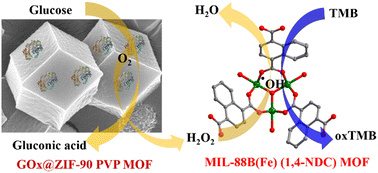 Graphical abstract: Exploring the potential of iron-based metal–organic frameworks as peroxidase nanozymes for glucose detection with various secondary building units