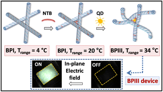 Graphical abstract: Topological defects stabilized by a soft twist-bend dimer and quantum dots lead to a wide thermal range and ultra-fast electro-optic response in a liquid crystalline amorphous blue phase