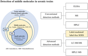 Graphical abstract: Advances in uremic toxin detection and monitoring in the management of chronic kidney disease progression to end-stage renal disease