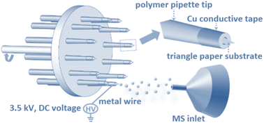 Graphical abstract: Surface charge-induced electrospray for high-throughput analysis of complex samples and electrochemical reaction intermediates using mass spectrometry