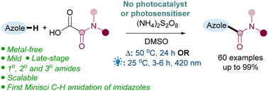 Graphical abstract: Direct C–H amidation of 1,3-azoles: light-mediated, photosensitiser-free vs. thermal