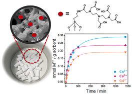 Graphical abstract: Silica-based monoliths functionalized with DTPA for the removal of transition and lanthanide ions from aqueous solutions