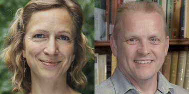 Graphical abstract: Preface