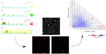 Graphical abstract: High-throughput, combinatorial droplet generation by sequential spraying