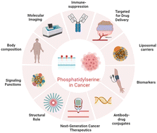 Graphical abstract: Phosphatidylserine: paving the way for a new era in cancer therapies