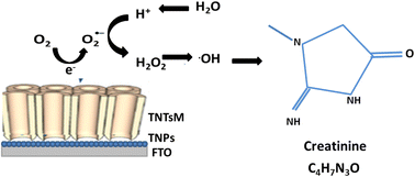 Graphical abstract: Enzyme-free detection of creatinine as a kidney dysfunction biomarker using TiO2 flow-through membranes