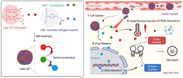 Graphical abstract: A metal-coordination stabilized small-molecule nanomedicine with high drug-loading capacity and synergistic photochemotherapy for cancer treatment