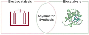Graphical abstract: Integrating electrocatalysis with biocatalysis for asymmetric synthesis