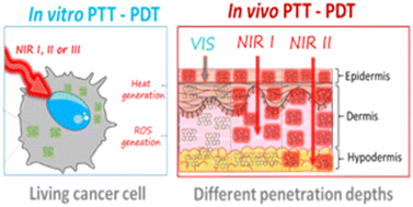 Graphical abstract: Recent advances in gold nanoparticle-graphene hybrid nanoplatforms with visible to near-infrared response for photodynamic and photothermal therapy and bioimaging