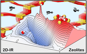 Graphical abstract: Distinctive signatures and ultrafast dynamics of Brønsted sites, silanol nests and adsorbed water in zeolites revealed by 2D-IR spectroscopy