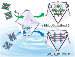 Graphical abstract: Polyoxometalate condensation and transformation mediated by adaptive coordination-assembled molecular flasks