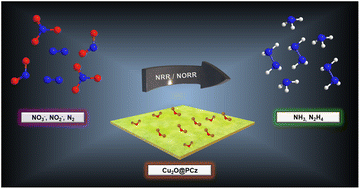 Graphical abstract: Improved ammonia production using Cu2O@poly-carbazole electrocatalysts in the electrochemical reduction of molecular nitrogen and nitrogen oxoanions