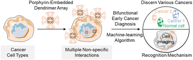 Graphical abstract: Machine learning-assisted pattern recognition and imaging of multiplexed cancer cells via a porphyrin-embedded dendrimer array