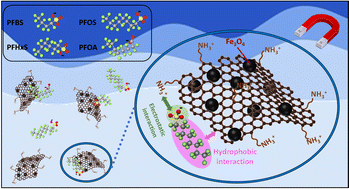 Graphical abstract: Magnetic amino-functionalized graphene oxide nanocomposite for PFAS removal from water