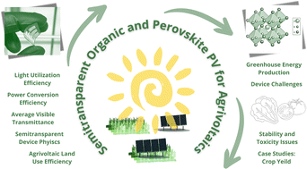 Graphical abstract: Semitransparent organic and perovskite photovoltaics for agrivoltaic applications