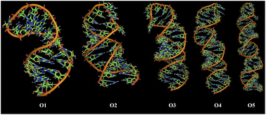 Graphical abstract: A multi-loop aptamer-based fluorescent aptasensor for enhanced detection of 17β-estradiol