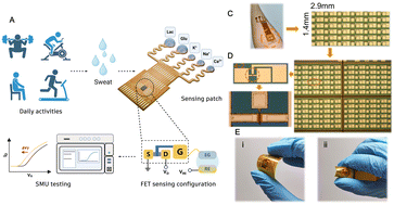 Graphical abstract: A multi-channel wearable sensing patch based on gate-all-around field-effect transistors