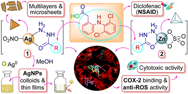 Graphical abstract: A multilayered supramolecular chelate of diclofenac-appended AgI-hydrazide as an efficient anti-inflammatory, anticancer, and nanometal dispersing material, in comparison to analogous ZnII-hydrazide
