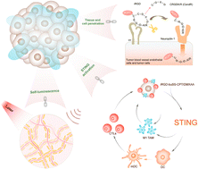 Graphical abstract: A polymer-free, tumor-microenvironment responsive sol–gel platform for spatiotemporal STING activation and self-amplifying immunotherapy
