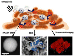 Graphical abstract: Ultrasound activated silica particles for efficient eradication of dental biofilms