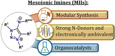 Graphical abstract: Mesoionic imines: strong N-donors, electronic ambivalence and applications in catalysis