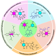 Graphical abstract: Recent advances in the total synthesis of polycyclic phloroglucinol natural products