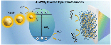 Graphical abstract: Tailoring plasmonic size in Au/WO3 photonic crystals for photoelectrochemical water splitting and pharmaceutical degradation