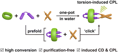 Graphical abstract: Chiral ring-in-ring complexes with torsion-induced circularly polarized luminescence