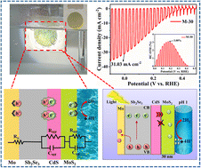 Graphical abstract: Pt-free MoS2 co-catalyst enables record photocurrent density in Sb2Se3 photocathodes for highly efficient solar hydrogen production