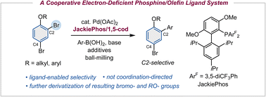 Graphical abstract: A cooperative electron-deficient phosphine/olefin ligand system for the site-selective mechanochemical Suzuki–Miyaura cross-coupling of 2,4-dibromoaryl ethers