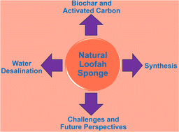 Graphical abstract: Loofah sponge: a sustainable material for wastewater desalination