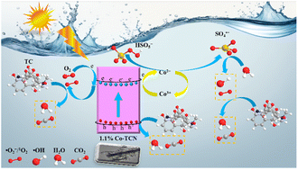 Graphical abstract: Architecting an ‘electron highway’: cobalt-doped tubular carbon nitride for superior photocatalytic PMS activation