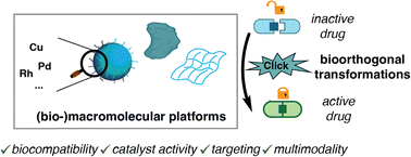 Graphical abstract: From simple delivery to multimodal systems: the critical role of macromolecular platforms in bioorthogonal drug synthesis
