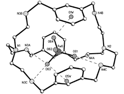 Graphical abstract: Towards promising oxoanion extractants: azacages and open-chain counterparts