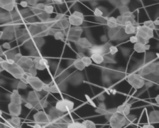 Graphical abstract: Hierarchical oxide nanostructures